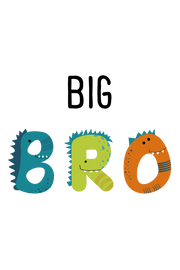 Big Bro